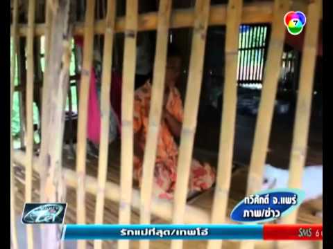 หญิงวัย 55 ปีรับจ้างหาเงินเลี้ยงสุนัข เผยยอมอดเพื่อให้สุนัขอิ่ม
