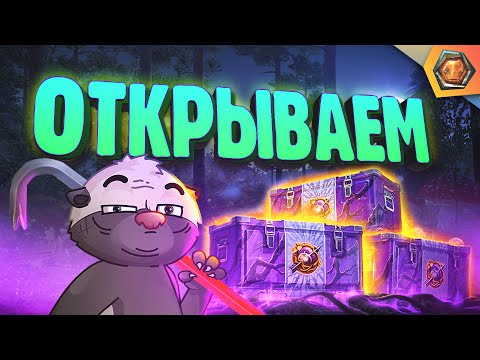 Видео: ЦАРСТВО ТЕНЕЙ | Открытие 100 контейнеров | ДАЙТЕ ЛЕШЕГО!