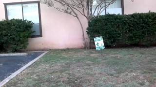 Nokia Astound c7 Tmobile 720p Hd  Review