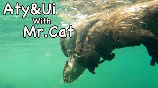 Living with Nature [Otter life Day 598]