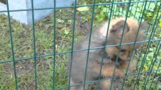 20100922 002