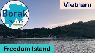 Borak Nature 13# Nature Walk | Relaxing Sound | Beach | Freedom Island | Lan Ha Bay | Vietnam