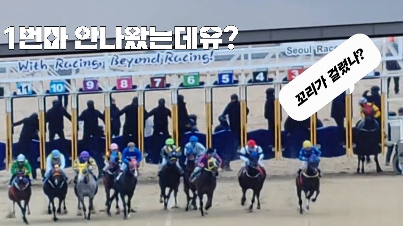 경마는 복불복이여? 1번말이 어디간겨? 대가리말이 저랬으면?