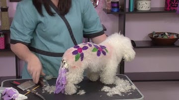 Color Time Management in a Busy Salon