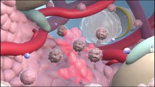 SoftWave Therapy in Overland Park | Meet Dr. J.R. Moody