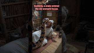 Suddenly, a snake entered the old woman's house.