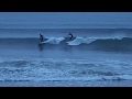 Surfing Nova Scotia - Lawrencetown Beach - Look What I Found In My Search For Wax!