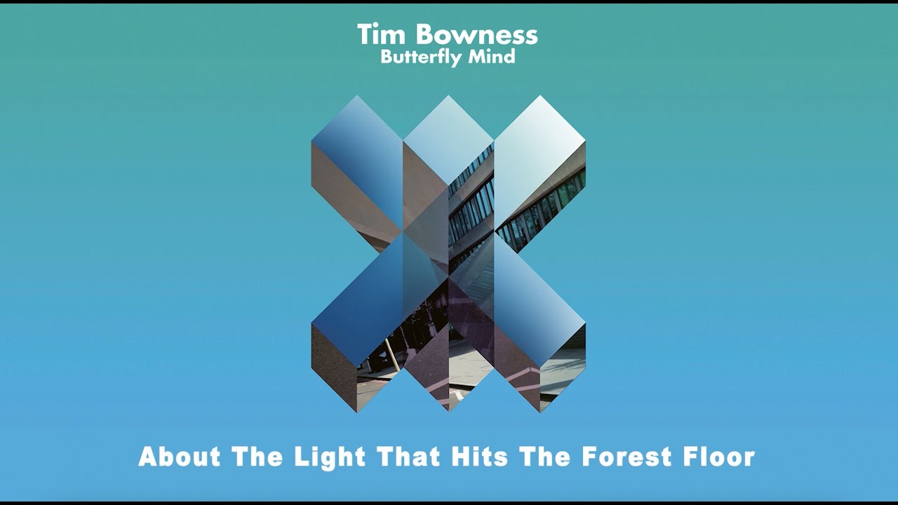 Tim Bowness discusses the track "About the Light That Hits the Forest Floor" (INTERVIEW)