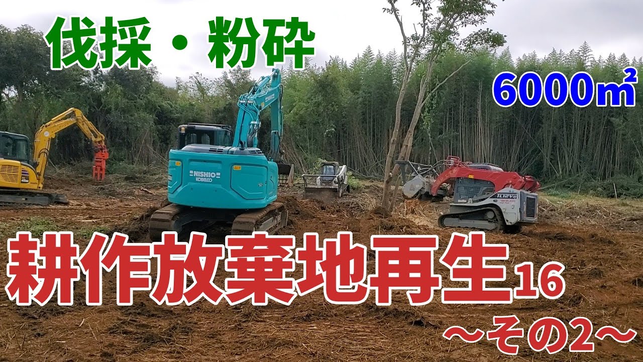【耕作放棄地再生16～その2～】広大な耕作放棄地をBobcatとTL12V2とユンボで6000㎡の伐採粉砕作業です！