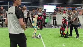 RoboCup Soccer 2023 Humanoid AdultSize Final: NimbRo vs HERoEHS