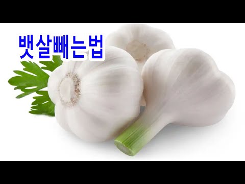 뱃살을 줄여주는 차