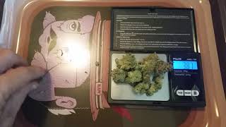 Blue Dream Trulieve 24%