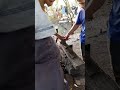 Highlight live