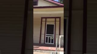 Project Elysian Video 3