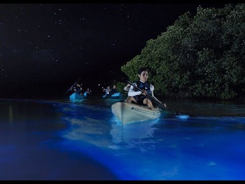 Enchanting Waters: The