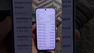 Today in mt4 account #forex #robot #forexlifestyle #millionviews