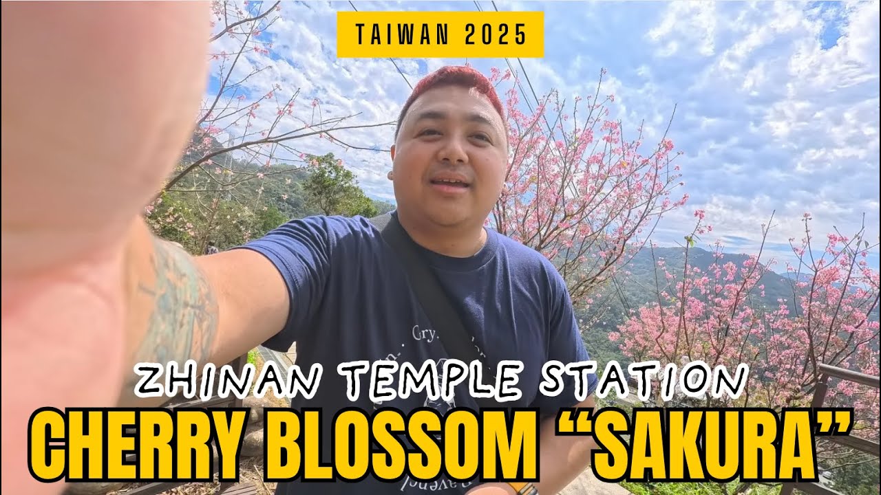 CHERRY BLOSSOMS EXPERIENCE - ZHINAN TEMPLE STATION | TAIPEI FUN PASS DAY 1