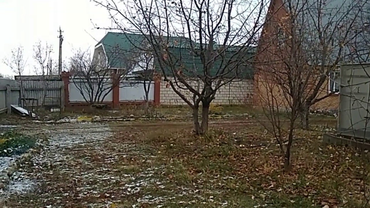 Хранение черенков роз зимой