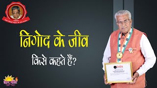 नगद क जव Nigod Ke Jeev कस कहत ह नगद क जव? कनस गत पत ह नगद जव?