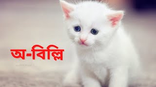 অবিল্লি Gouri Dharmapal গৌরী ধর্মপাল Durba recitation ছড়া কবিতা O Billi chora kobita abritti rhymes