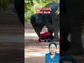 #elephantlove #wildlife #elephant #janemerijanemanbachpankapyarmerabhulnahijanare