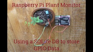 4 - Using a SQLITE DB to store GPIO Data - Raspberry Pi Plant Monitor