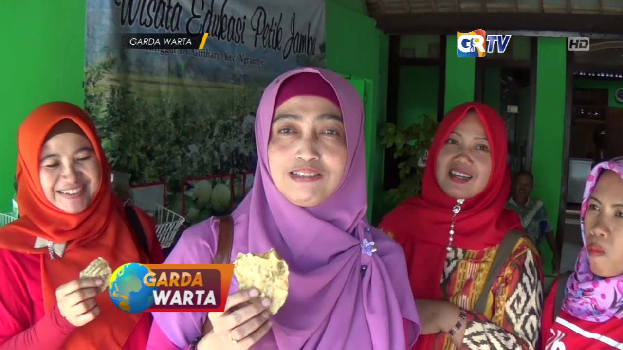 48+ Kolase Gambar Jambu Biji Gratis Terbaru