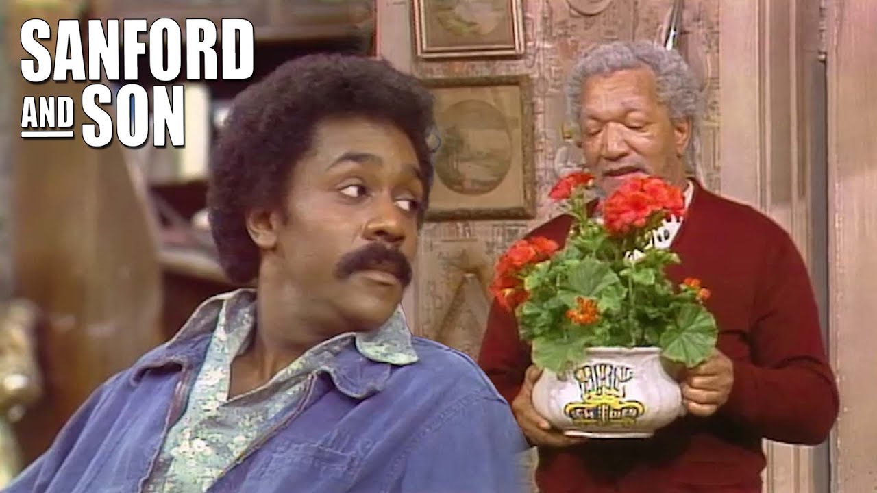 Fred Clearly Saw It Coming | Sanford And Son