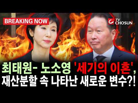 [브레이킹 나우] 최태원-노소영 '세기의 이혼', 재산분할 결정지을 새로운 변수?! '이 부분'에 따라 액수 3배 차이 날 수도!!