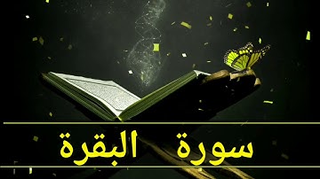 سورة البقرة الجزء الأول القارئ عبدالحفيظ