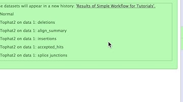 NeLS-Galaxy: How to Run Simple Workflow