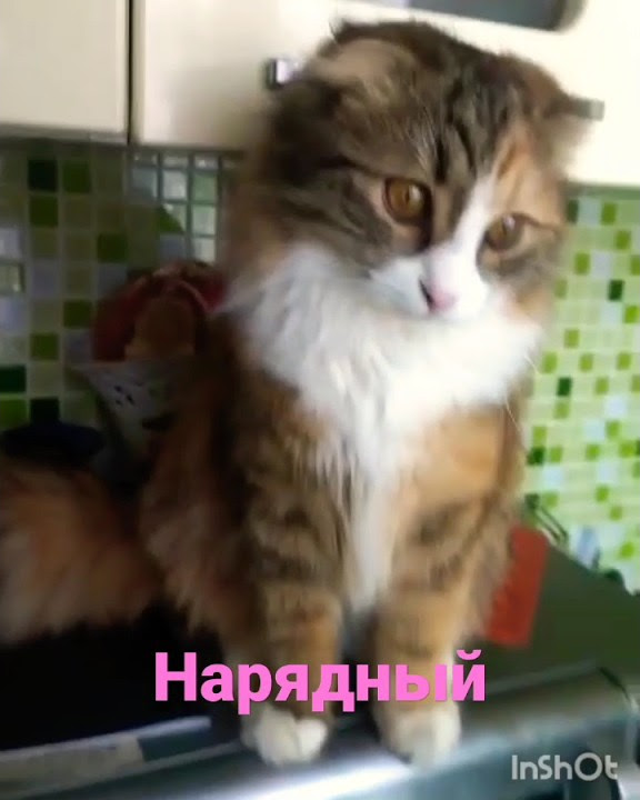 Кнопочка - YouTube
