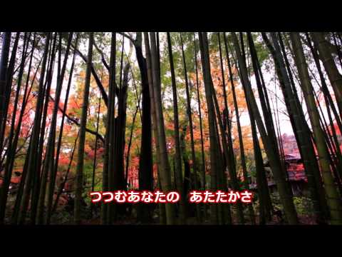伊豆の雨｛歌詞字幕入り｝角川博　cover by katuyoshi
