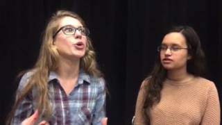 TOK: Fallacies of Logic Project