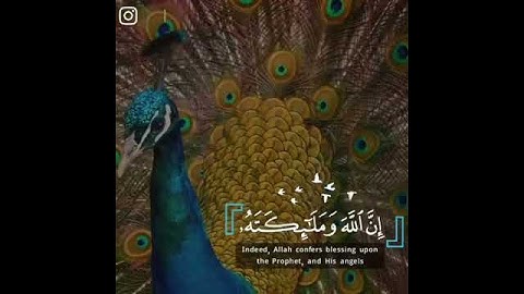 ارح سمعك "" ان الله وملائكته يصلون على النبي "" القارئ:#اسلام_صبحي