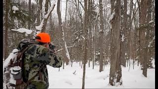 Deep Woods Tracking | Finding Adirondack Bucks on Public Land | 2025 ADK