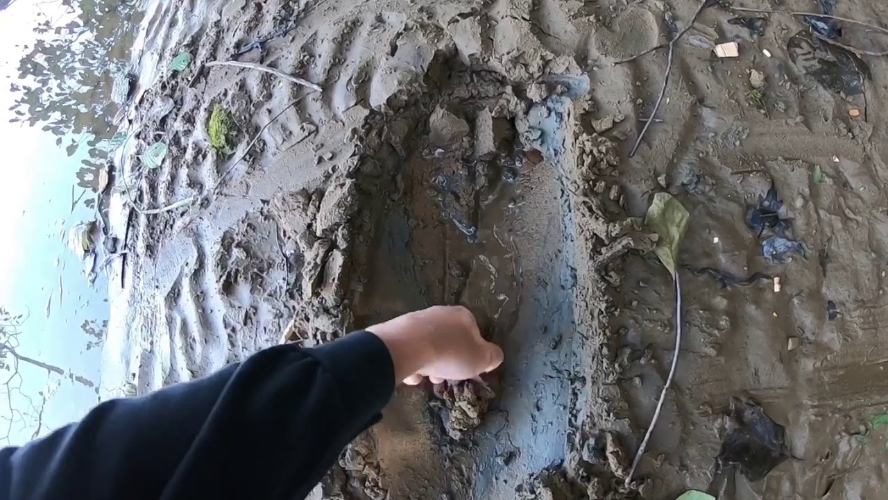 What a Find !! - YouTube