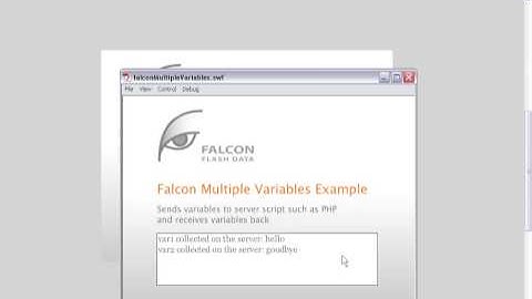 Part 2 - Send Data Between Flash and Server Script Like PHP in a Few Lines of Code with Falcon