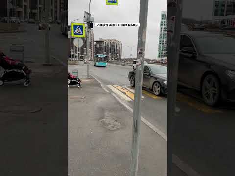 Автобус лиаз 5292 с синим таблом,,5176,, по 300. Рекомендую @Primorsky_Transport ​⁠​⁠@fedor7776