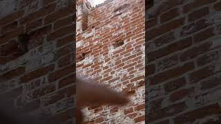 Sloppiness In The Bell Tower