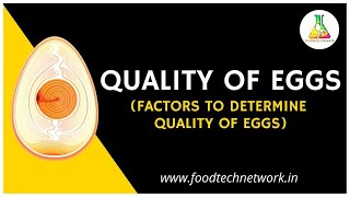 Quality of Eggs (Factors to Determine quality of eggs) #foodtechnetwork