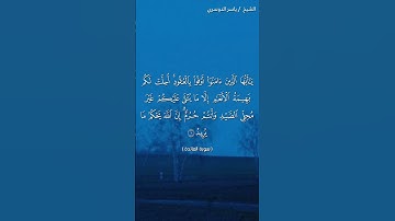 سورة المائدة ( آية ١) / ياسر الدوسري