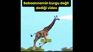 Babaannemin Kurgu Değil Dediği Video Üldürenvideolar