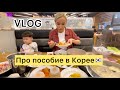 🇰🇷🇰🇿Мама в Корее/Пособие от государства/Ужин с подругами🤓