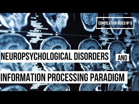An Introduction to Neuropsychological Disorders and Information Processing Paradigm