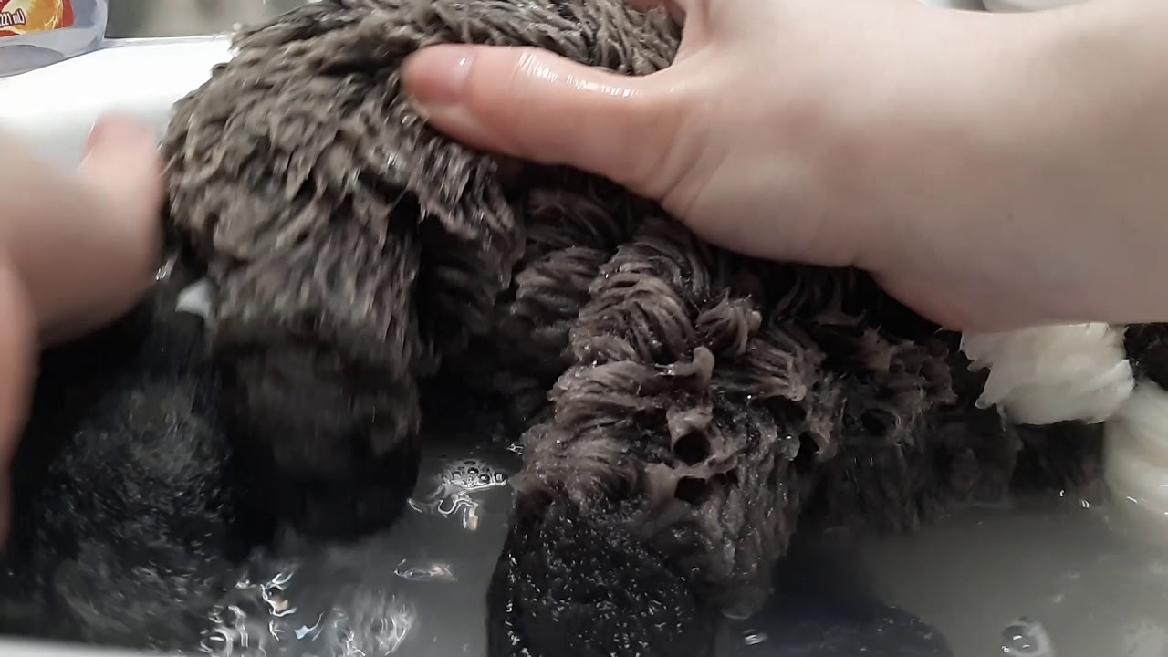 Sam Bath Sam Gets a Bath - YouTube