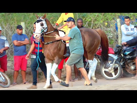 Vídeo: A corrida de cavalos é hoje?