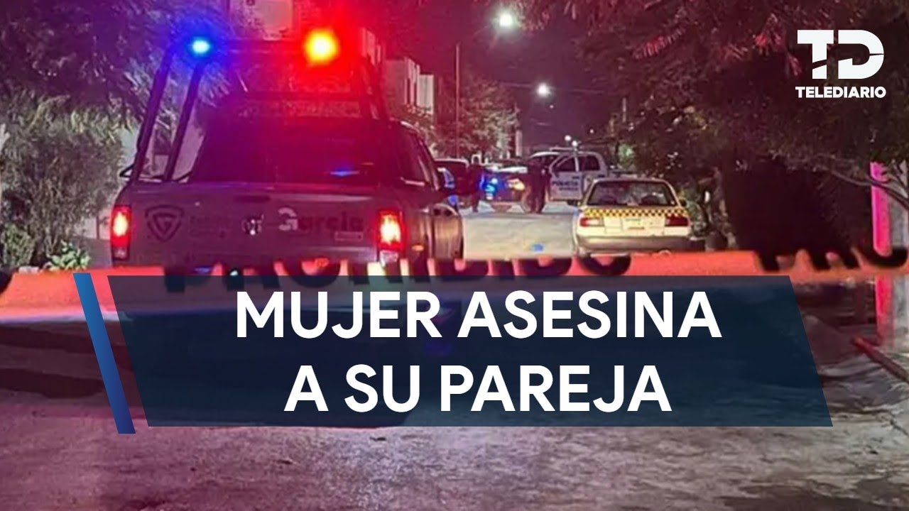 Woman stabs partner to death in García; arrested