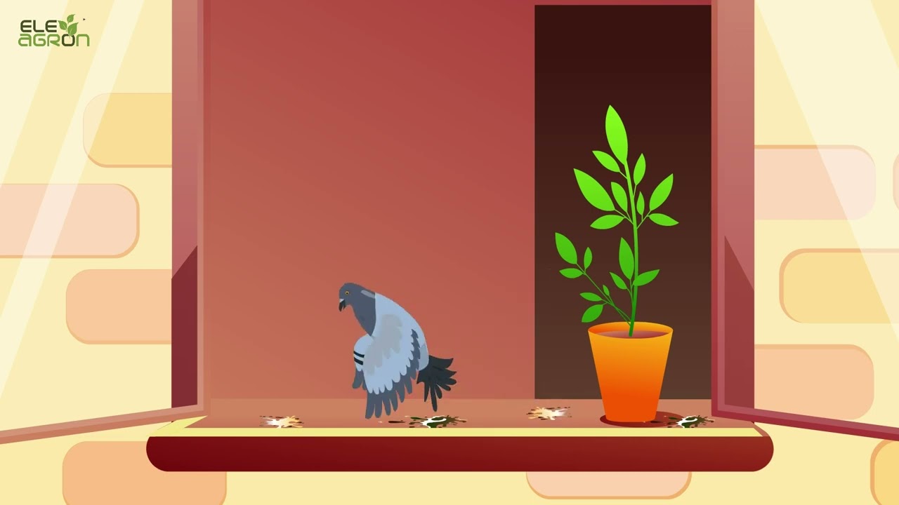 ELEAGRON BDG (Bird Deterrent Gel) HINDI