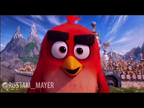 ANGRY BIRDS  ОЗВУЧКА   ОЗВУЧКА ОТ ДЖАВИДА